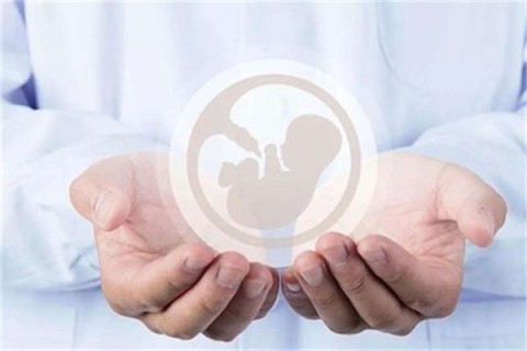 http://changsha.hy-ly.com/post/203.html|长沙试管助孕